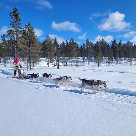 Aurora Queen Resort Igloos 萨利色尔卡 外观 照片