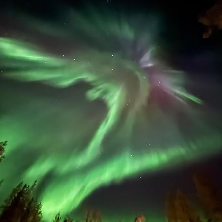 Aurora Queen Resort Igloos 萨利色尔卡 外观 照片