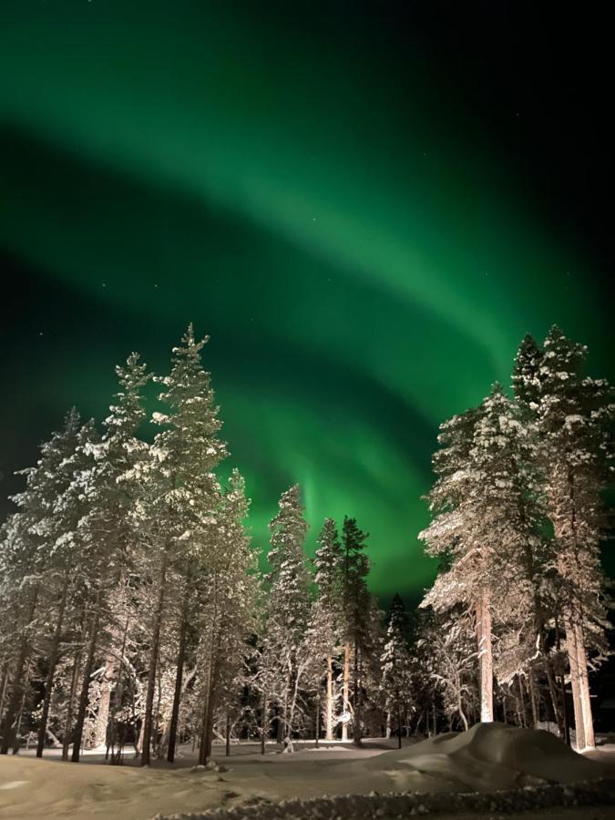 Aurora Queen Resort Igloos 萨利色尔卡 外观 照片