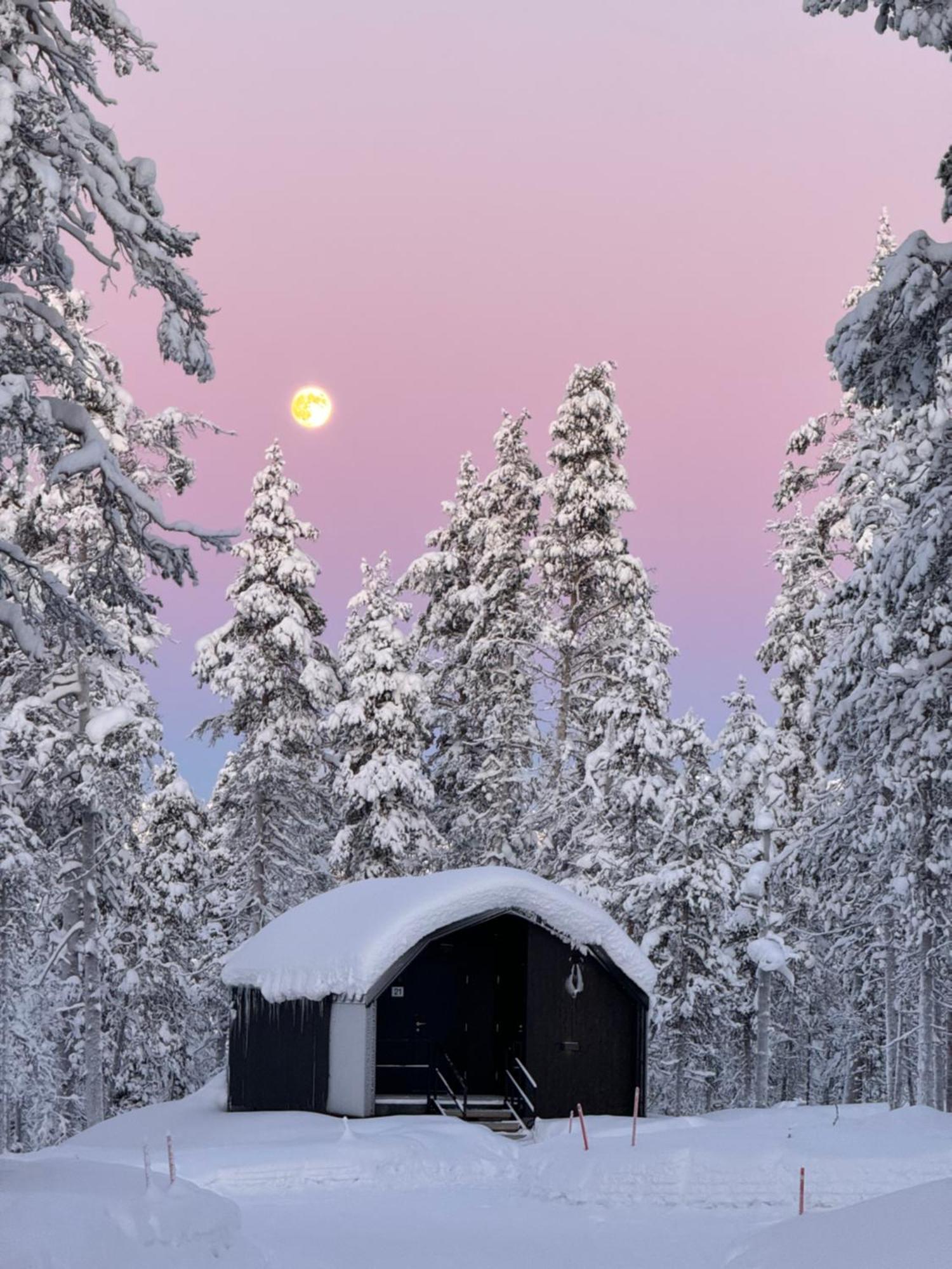Aurora Queen Resort Igloos 萨利色尔卡 外观 照片