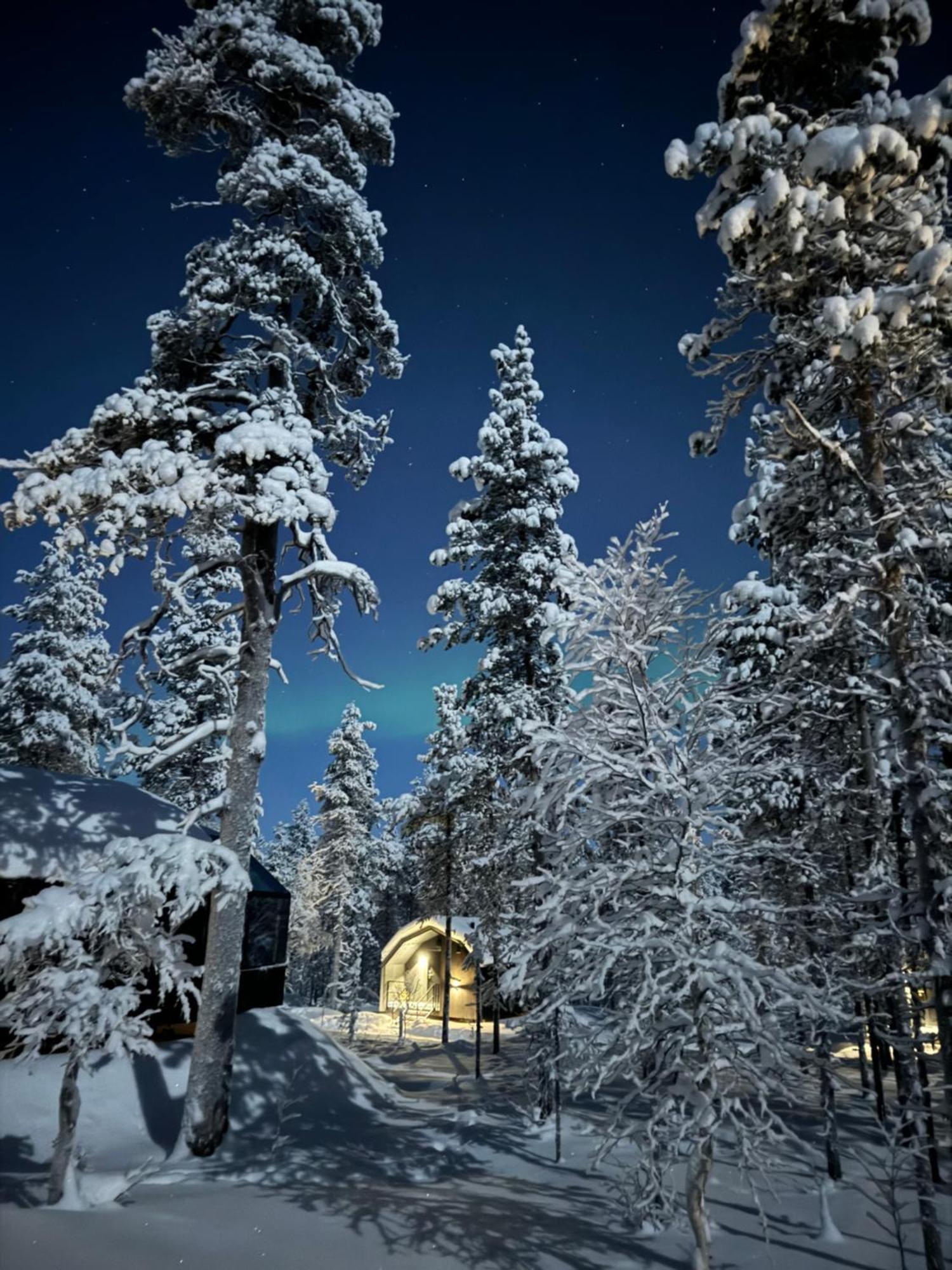 Aurora Queen Resort Igloos 萨利色尔卡 外观 照片