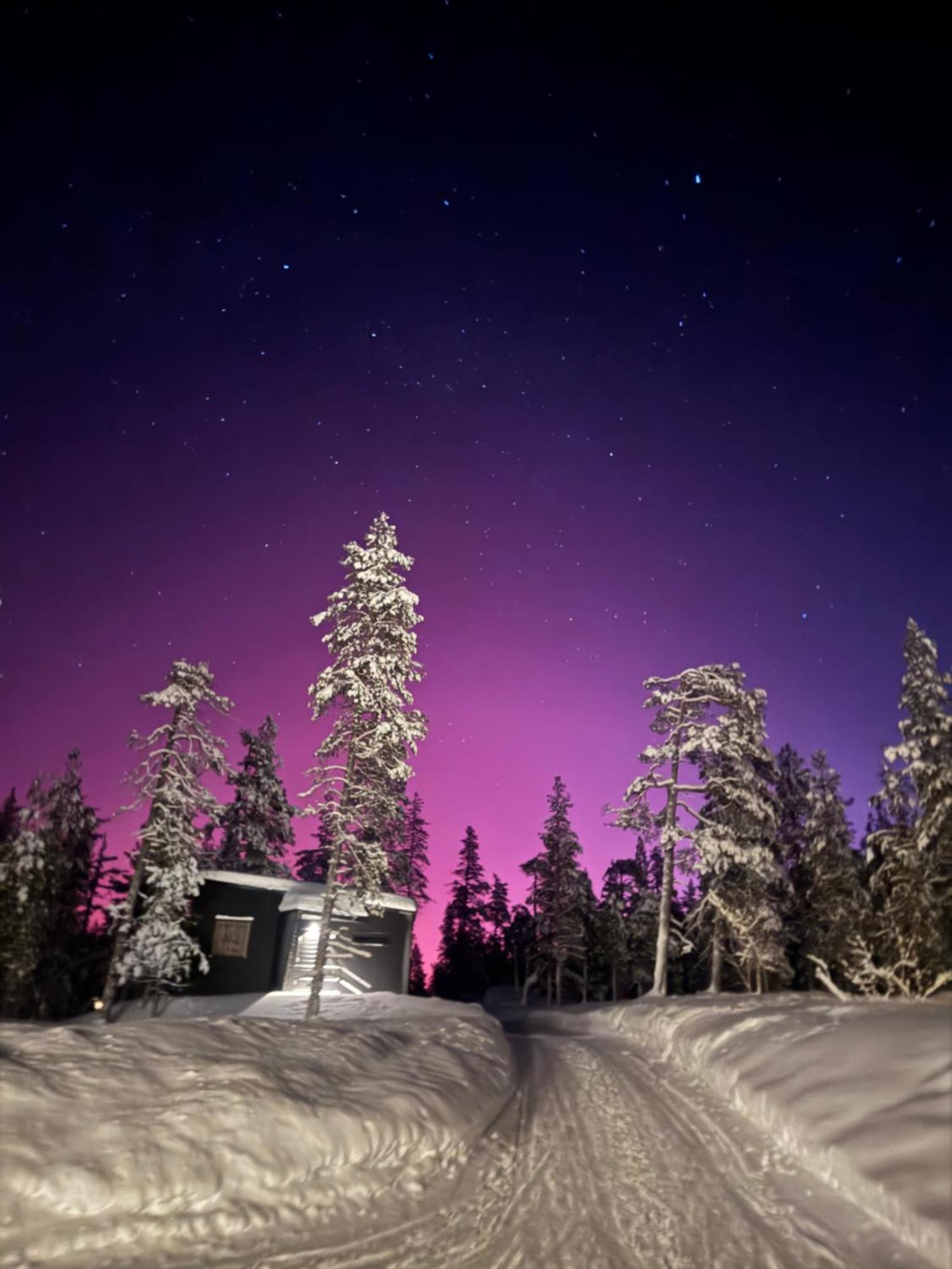 Aurora Queen Resort Igloos 萨利色尔卡 外观 照片
