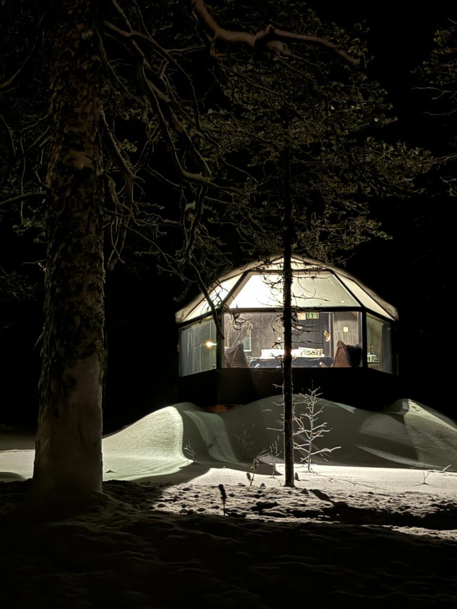 Aurora Queen Resort Igloos 萨利色尔卡 外观 照片