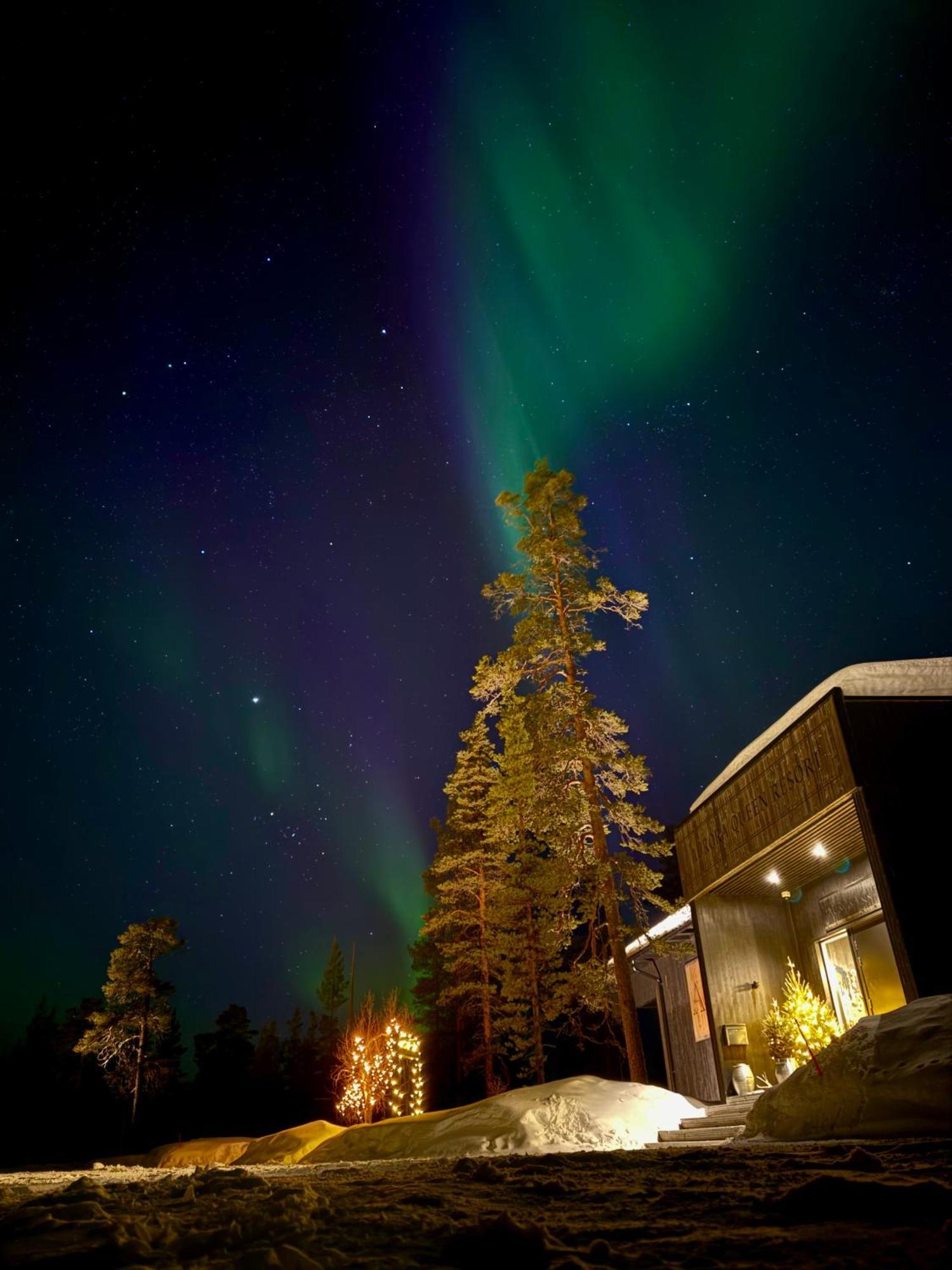 Aurora Queen Resort Igloos 萨利色尔卡 外观 照片