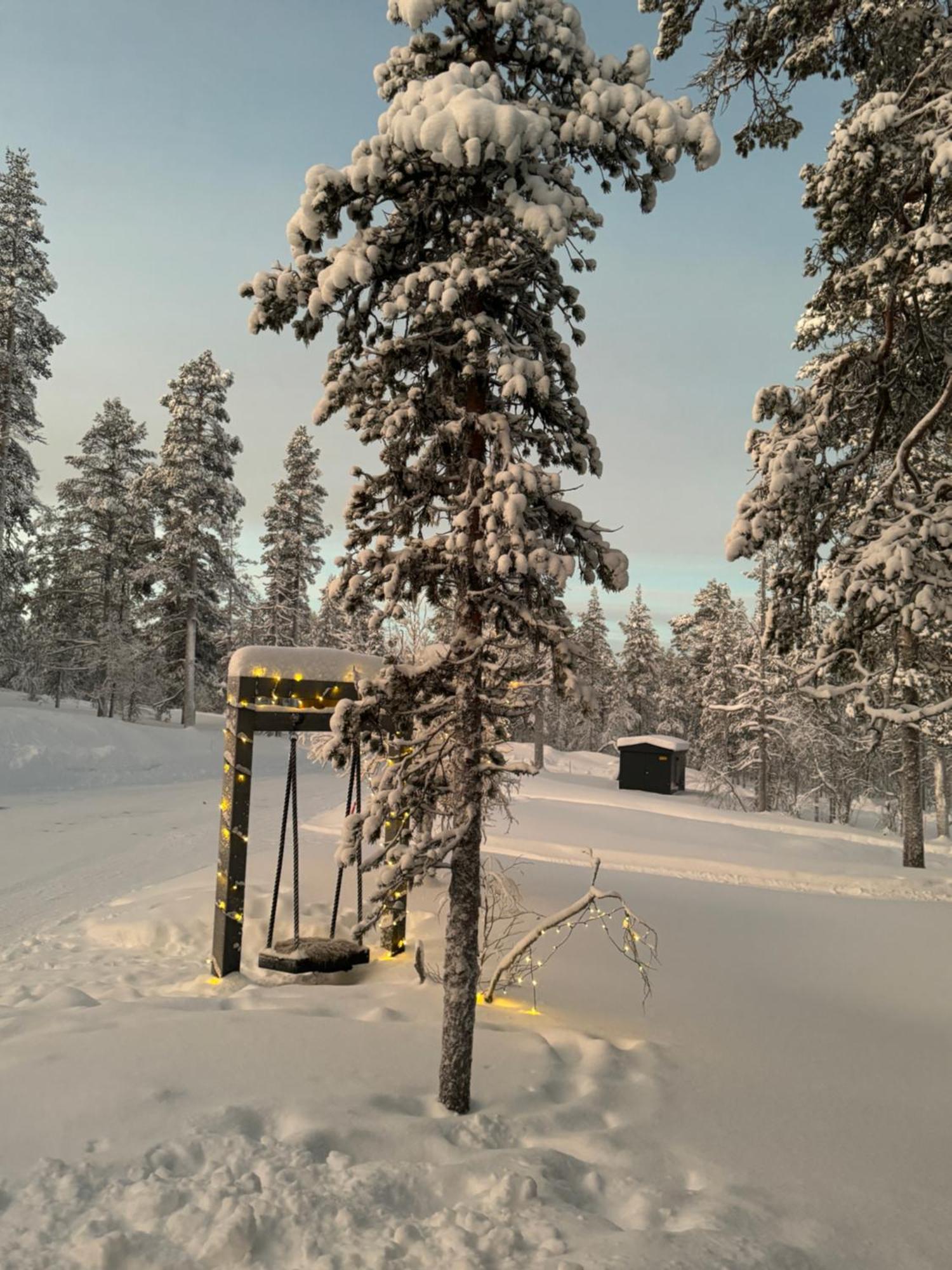 Aurora Queen Resort Igloos 萨利色尔卡 外观 照片