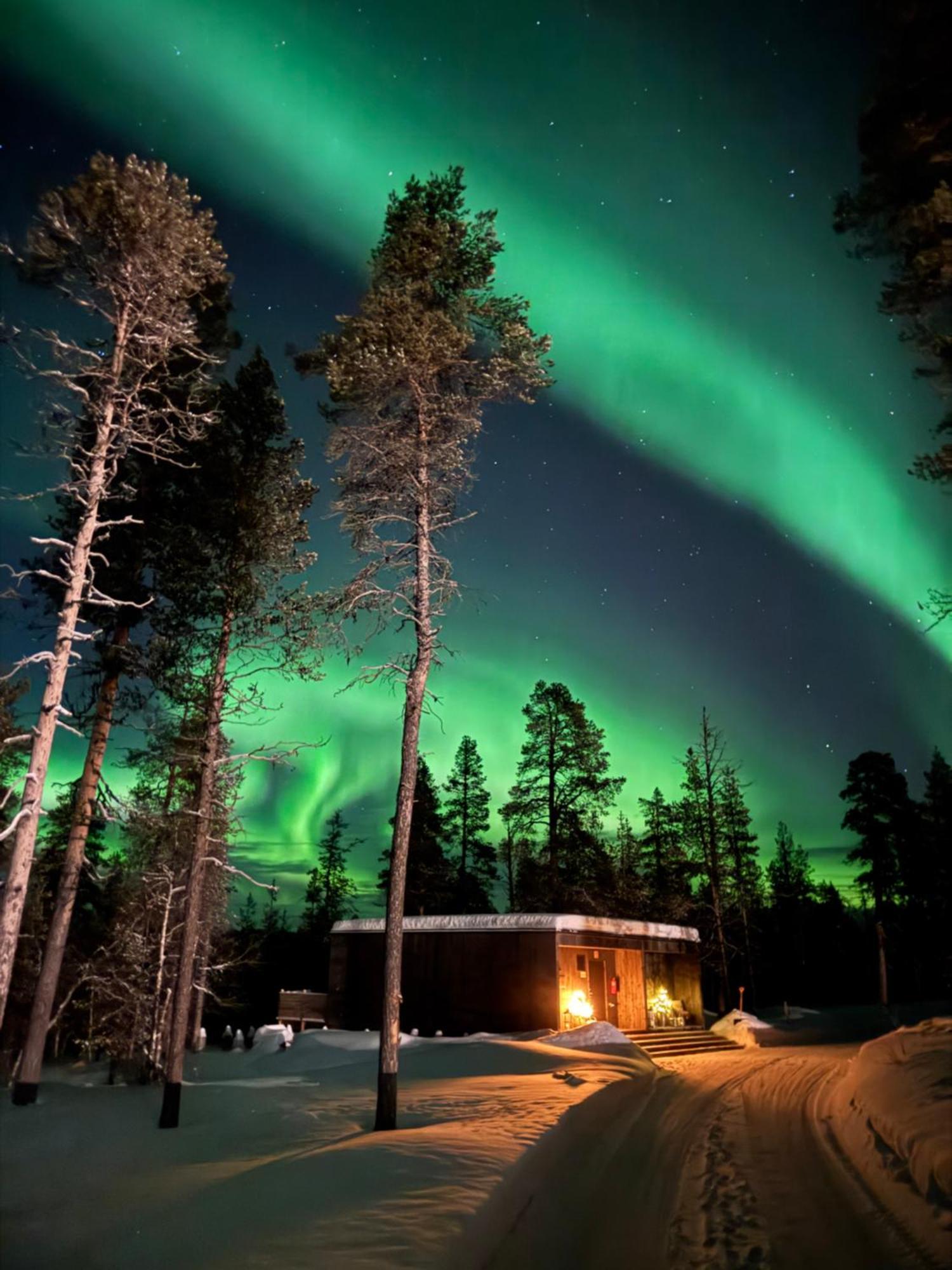 Aurora Queen Resort Igloos 萨利色尔卡 外观 照片