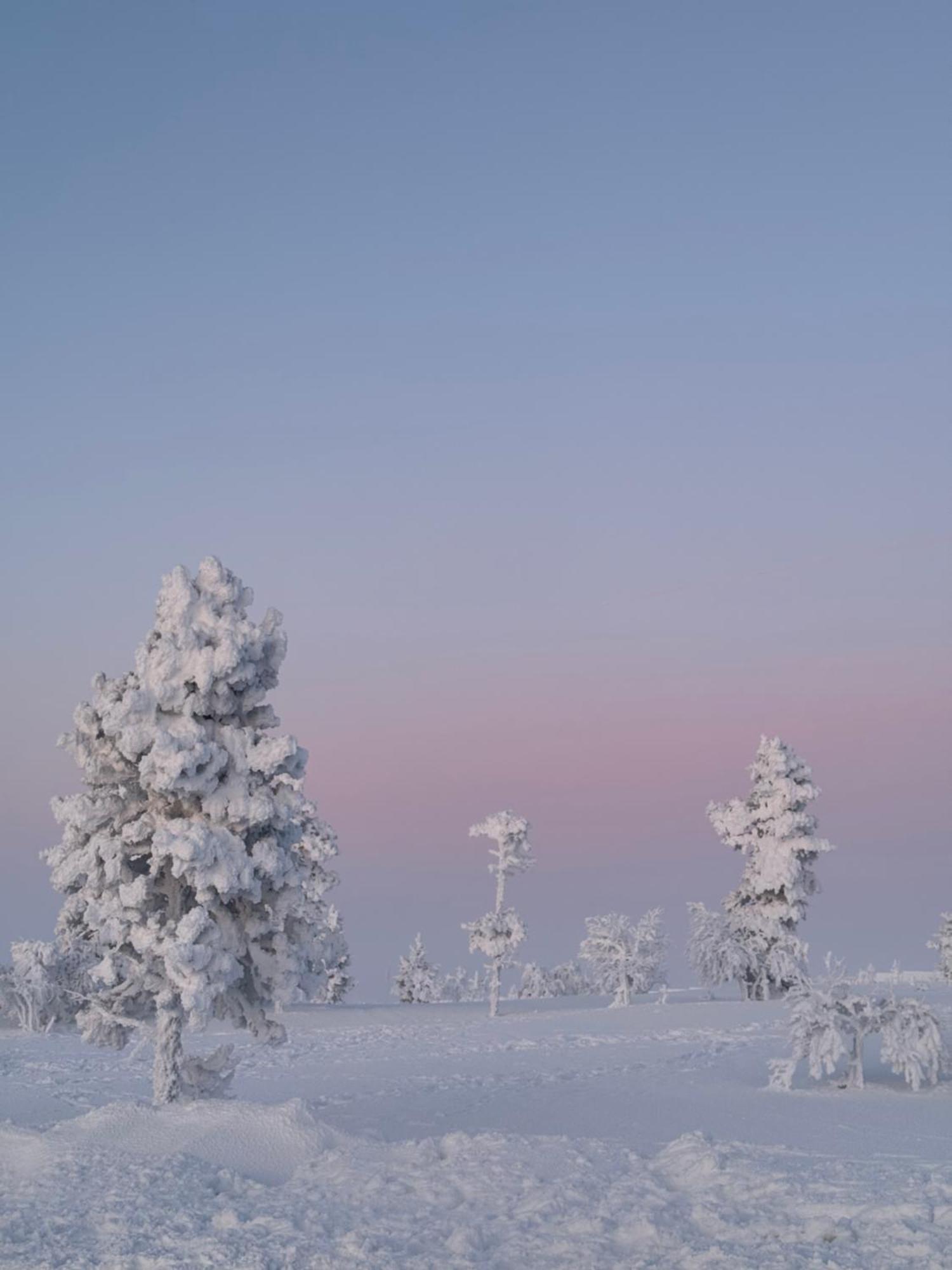 Aurora Queen Resort Igloos 萨利色尔卡 外观 照片